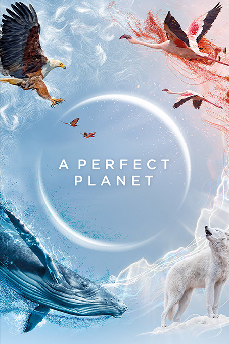 A Perfect Planet