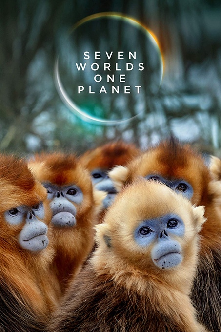 Seven Worlds, One Planet